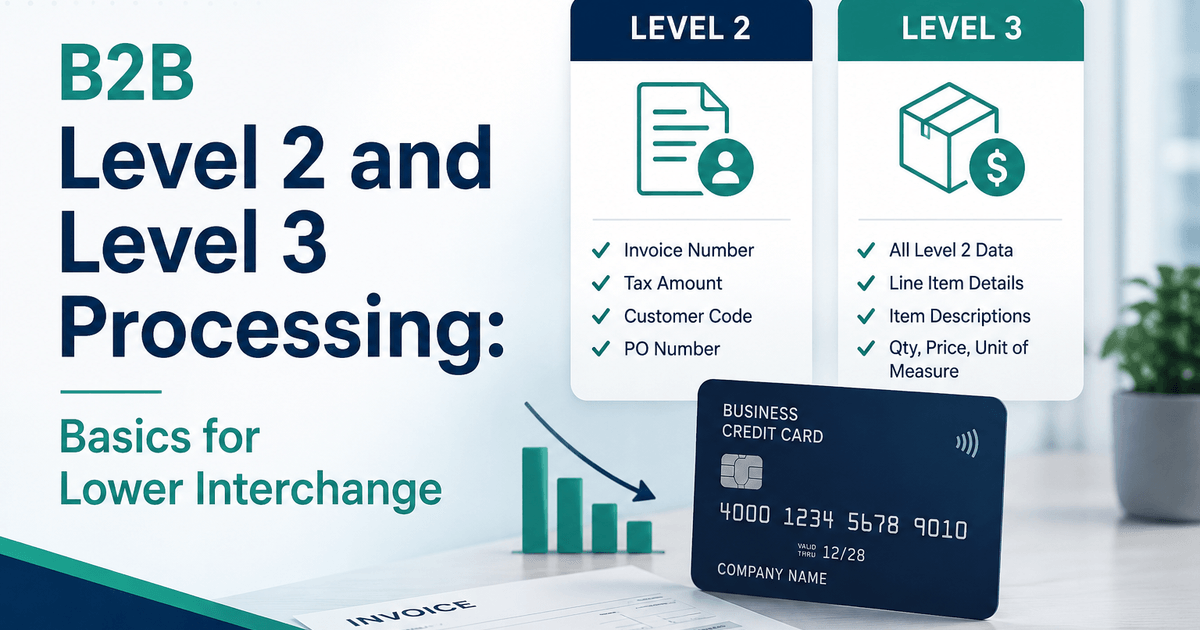 B2B Level 2 and Level 3 Processing: Basics for Lower Interchange ...